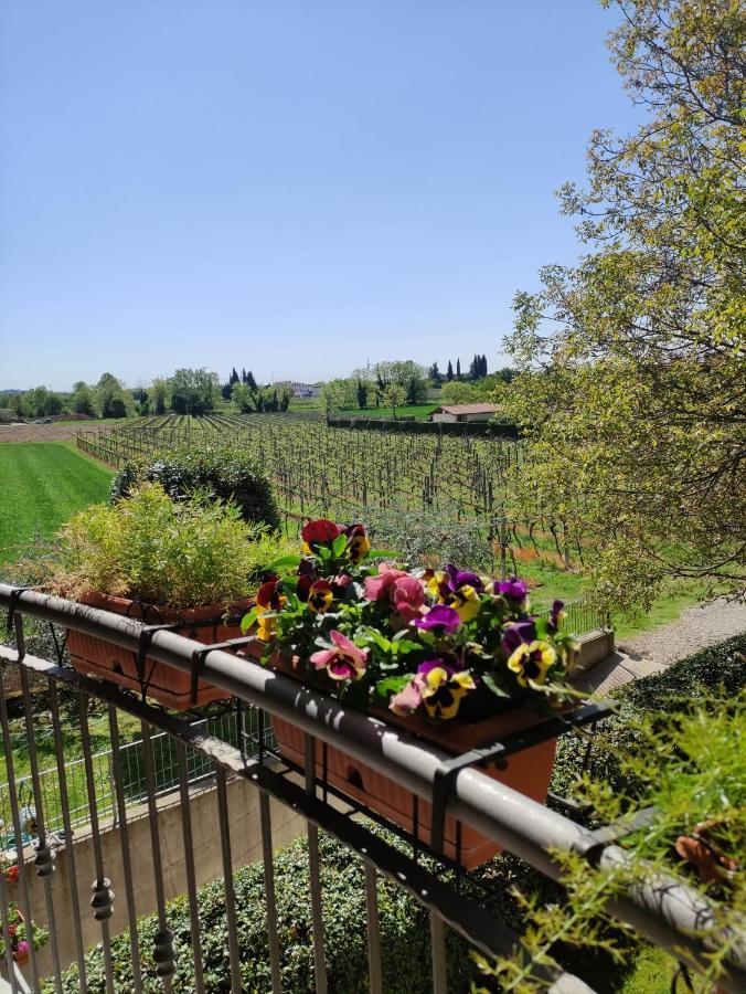 קולה Agriturismo La Vigna מראה חיצוני תמונה